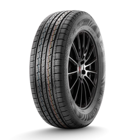 Шины DoubleStar 245/45/19 H 98 DS01 Шины DoubleStar 245/45/19 H 98 DS01