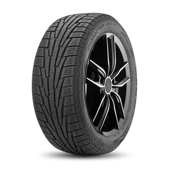 Шины Ikon Tyres  225/45/19  T 96 Ikon Character Snow 2  XL